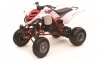 New-Ray 1/12 Yamaha Raptor 660R Photo