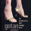 Gotan Project Live - La Revancha Del Tango - Live Photo