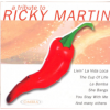 Tribute To Ricky Martin - Tribute To Ricky Martin Photo