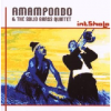 Amampondo & Solid Brass - Intsholo Photo