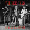 Bee Gees - Spicks & Specks Photo