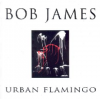 Bob James - Urban Flamingo Photo