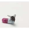 Red Hot Chilli Peppers - I'm With You Photo
