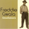 Gwala Freddie - Amadamara Photo