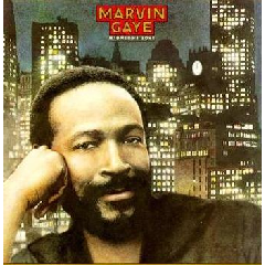 Photo of Marvin Gaye - Midnight Love & The Sexual Healing