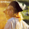 Goldfrapp - Seventh Tree Photo
