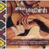 Sisters Out Of Africa - Various Artists Photo