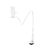 Hoco PH24 Tablet PC Stand Photo