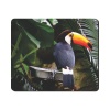 Mouse Pad - Beautiful Bird Photo