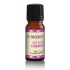 Pure Indigenous 100% Rose Geranium Essential Oil - Stress/Anxiety Photo