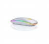 Wireless LED Rechargeable Mouse Photo