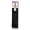 Darling One Million Braid - Black Photo