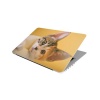 Laptop Skin/Sticker - Kitten Looking Down Photo