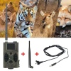 Digital Trail Camera Photo