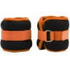 Ares Active Ankle Weights Set - 2kg Photo