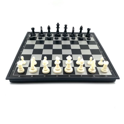 Chess Board with 32 Pieces