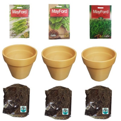 Photo of Herb Growing Kit - Chives Coriander & Rocket With Soil & Pots Easy