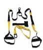 SL FITNESS SuperStrength Suspension Trainer Photo