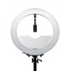 Foresight 60W Bi-Color LED Video Ring Light with Stand - 19" Photo