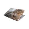 Laptop Skin/Sticker - Lazy Cat Photo