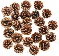 Classic Bulk Package of Natural Pinecones 24 Pack
