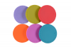 Crafty Cultures Fermentation Lid Pack Photo