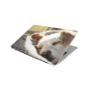 Laptop Skin/Sticker - Sleeping Dog Photo