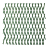 Expanding Trellis Green 1200mm Photo