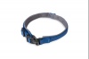 Dogs Life Supersoft Webbing Neoprene Collar Yale Blue Photo