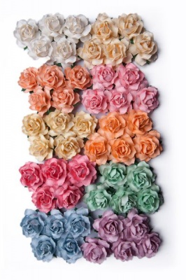 Photo of Bloom Cottage Roses - Pastel 3cm