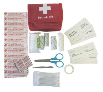 First Aid Car Kit 30 piece