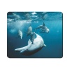 Mouse Pad - Dolphins Photo