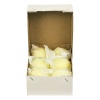 SNS Yellow Match Smooth Hockey Balls - Box of 6 Photo