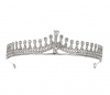 Olive Tree - Rhinestone Crystal Styled Tiara 07 - Bridal / Formal Event Photo