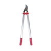 Carpa Pruning Lopper 85cm Photo