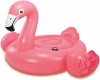 Flamingo Inflatable Ride-On Photo