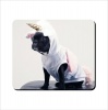 Mouse Pad - Unicorn Boston Terrier Photo