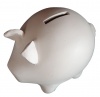 Piggy Bank Ceramic Photo