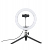 10" LED Ring Light 20cm Tripod perfect for Selfies Tik Tok Videos Photo