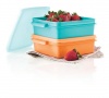 Tupperware Snack set Photo