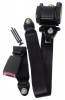 Seat Belt 3 Point Emarked Photo
