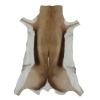 AfriNique Springbok Rug Photo