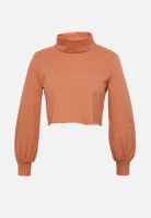 Glamorous Womens Petite Highneck Sweat Rust