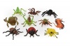 Assorted Insects in a Set - 10 pieces Photo