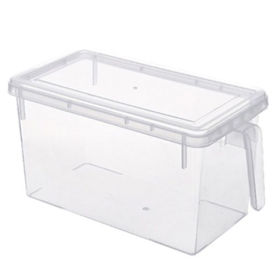 Kitchen Fridge Transparent Storage Box Organizer