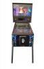604 Games in 1 Digital Pinball Photo