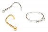 Fabulae Set of 3 Nose Piercings Lulu Photo