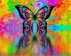 BENGATOUCH Paint by Numbers for Adults - Kaleidascope Butterfly Photo