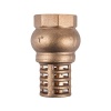 Torrenti Valve Foot Brass 50Mm Photo