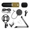 Condenser Microphone For Recording Photo